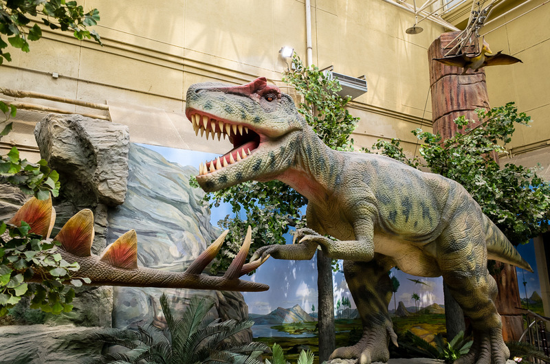 1517799175275023072.jpg SC000566.jpg