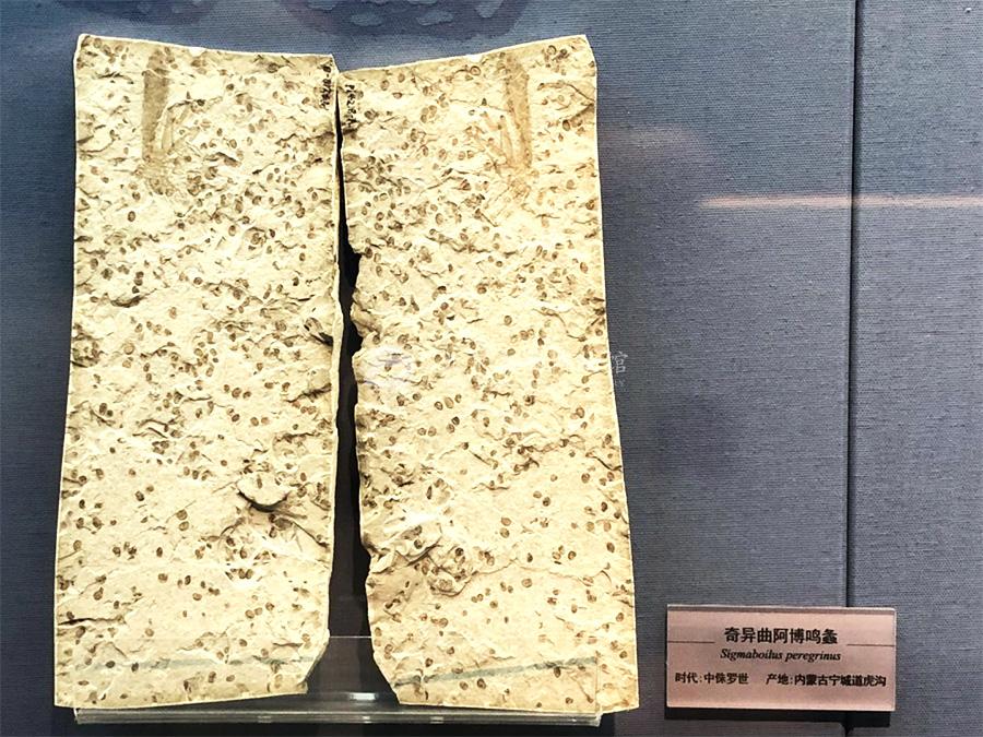 1530927886163093143.jpg ReHe_02.jpg