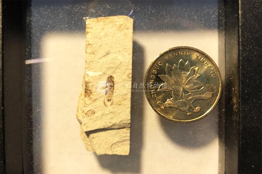 1530927938579077280.jpg ReHe_03.jpg