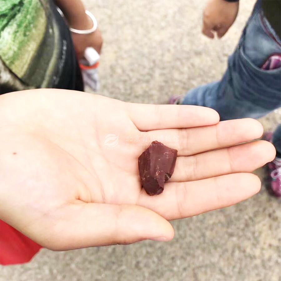 1530928168243014107.jpg ReHe_06.jpg