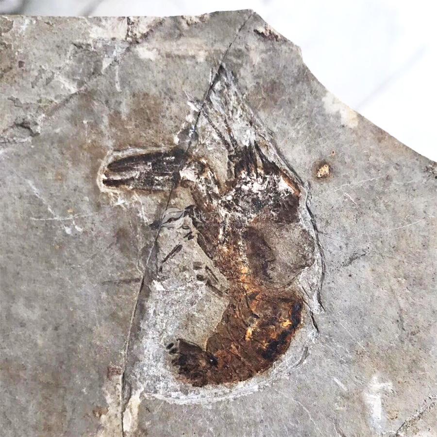 1530928192330083306.jpg ReHe_07.jpg