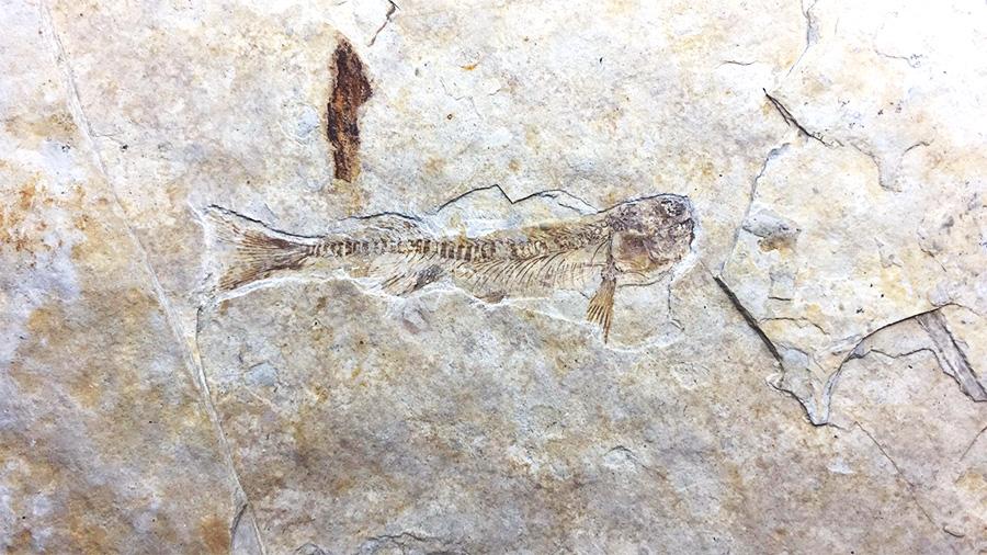 1530928229536027672.jpg ReHe_08.jpg