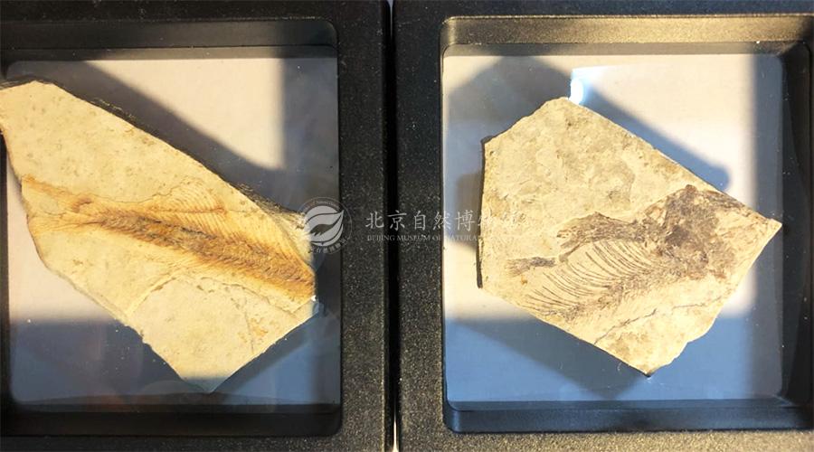 1530928273871019333.jpg ReHe_09.jpg