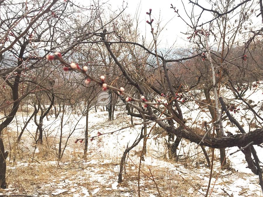 1530928333198028595.jpg ReHe_10.jpg