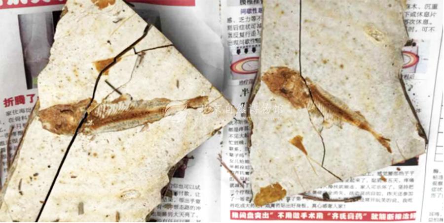 1530928383586091320.jpg ReHe_11.jpg